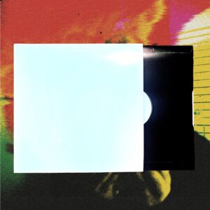"ABNDNT" VINYL (1/1 ART)